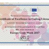 certificato di eccellenza in coding literacy